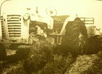 Первый подаренный трактор. 1950 год.